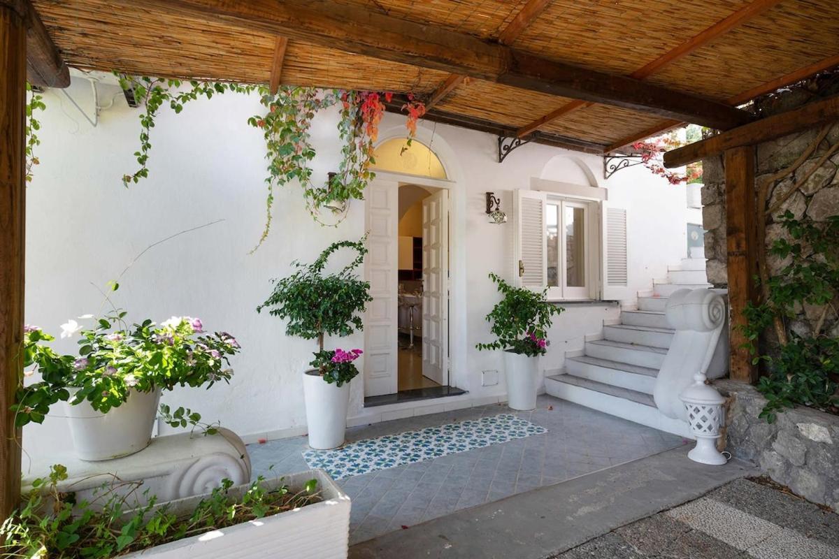 Villa Marinella Close To The Sea With Private Pool Nerano Bagian luar foto